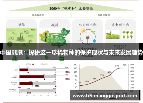 中国熊熊：探秘这一珍稀物种的保护现状与未来发展趋势
