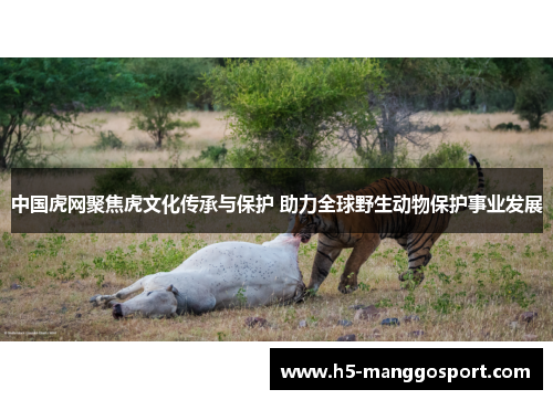 中国虎网聚焦虎文化传承与保护 助力全球野生动物保护事业发展
